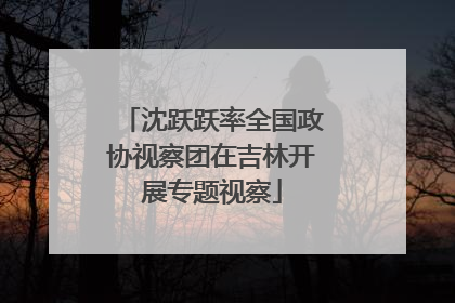 沈跃跃率全国政协视察团在吉林开展专题视察