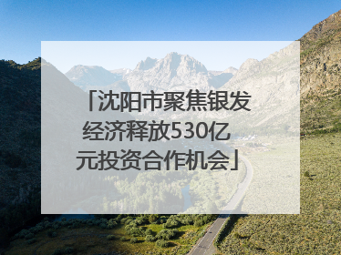 沈阳市聚焦银发经济释放530亿元投资合作机会