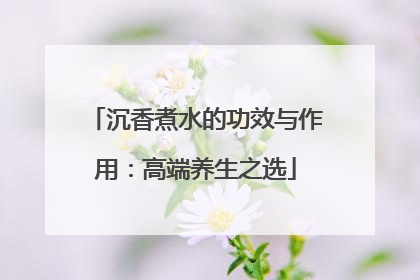 沉香煮水的功效与作用：高端养生之选