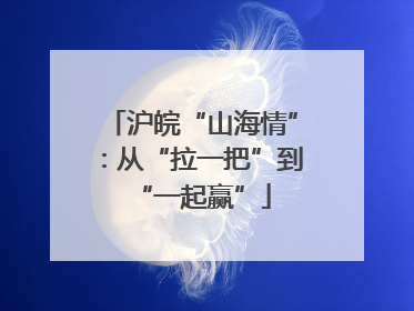 沪皖“山海情”：从“拉一把”到“一起赢”