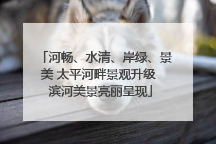河畅、水清、岸绿、景美 太平河畔景观升级 滨河美景亮丽呈现