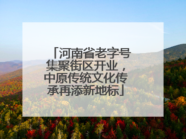 河南省老字号集聚街区开业，中原传统文化传承再添新地标