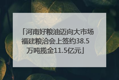 河南好粮油迈向大市场 福建粮洽会上签约38.5万吨揽金11.5亿元