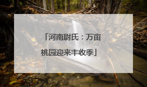 河南尉氏：万亩桃园迎来丰收季