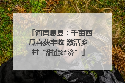 河南息县：千亩西瓜喜获丰收 激活乡村“甜蜜经济”