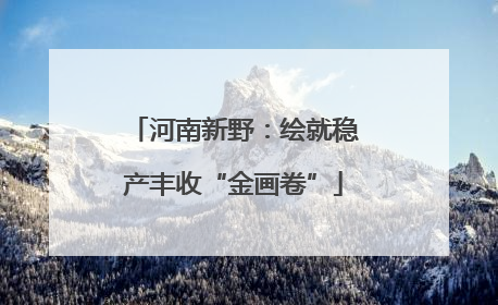 河南新野：绘就稳产丰收“金画卷”