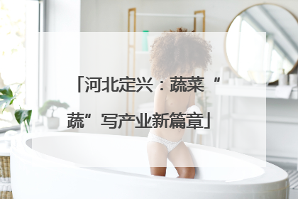 河北定兴：蔬菜“蔬”写产业新篇章