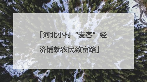 河北小村“麦客”经济铺就农民致富路