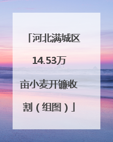 河北满城区14.53万亩小麦开镰收割（组图）