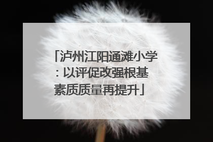 泸州江阳通滩小学：以评促改强根基 素质质量再提升