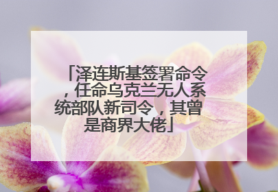泽连斯基签署命令，任命乌克兰无人系统部队新司令，其曾是商界大佬