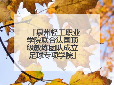 泉州轻工职业学院联合法国顶级教练团队成立足球专项学院