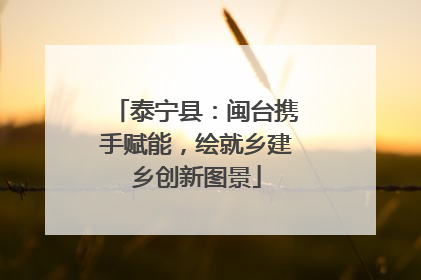 泰宁县：闽台携手赋能，绘就乡建乡创新图景