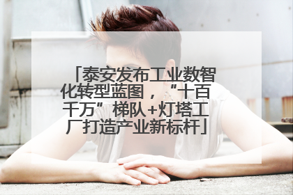 泰安发布工业数智化转型蓝图，“十百千万”梯队+灯塔工厂打造产业新标杆