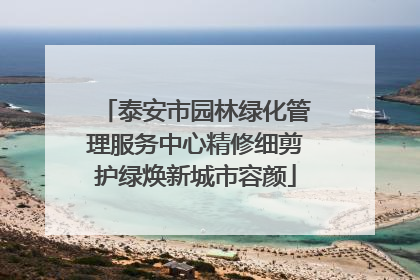 泰安市园林绿化管理服务中心精修细剪护绿焕新城市容颜