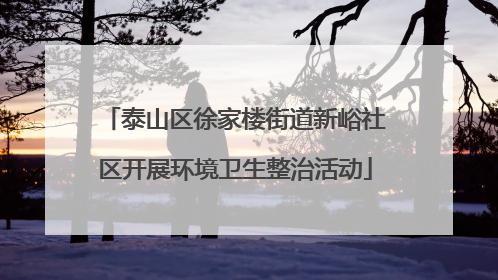 泰山区徐家楼街道新峪社区开展环境卫生整治活动