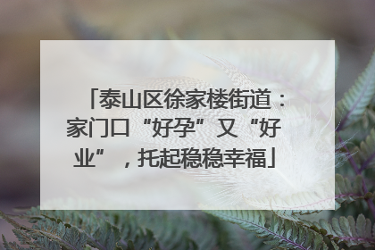 泰山区徐家楼街道：家门口“好孕”又“好业”，托起稳稳幸福