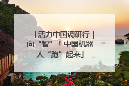 活力中国调研行｜向“智”！中国机器人“跑”起来