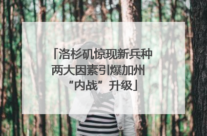 洛杉矶惊现新兵种 两大因素引爆加州“内战”升级