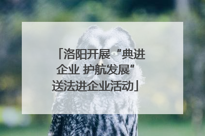 洛阳开展“典进企业 护航发展”送法进企业活动