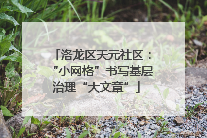 洛龙区天元社区：“小网格”书写基层治理“大文章”
