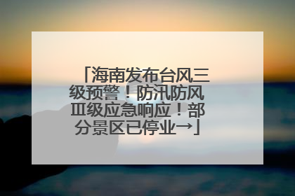 海南发布台风三级预警！防汛防风Ⅲ级应急响应！部分景区已停业→