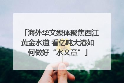 海外华文媒体聚焦西江黄金水道 看亿吨大港如何做好“水文章”