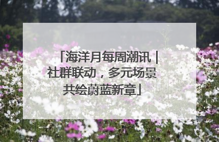 海洋月每周潮讯｜社群联动，多元场景共绘蔚蓝新章