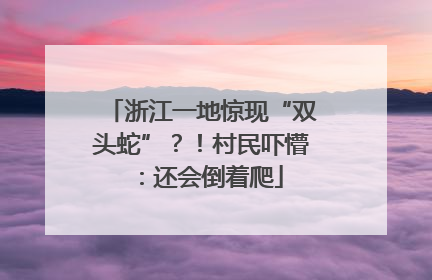 浙江一地惊现“双头蛇”？！村民吓懵：还会倒着爬