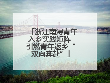 浙江南浔青年入乡实践矩阵 引燃青年返乡“双向奔赴”