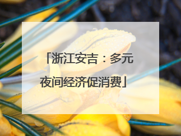 浙江安吉：多元夜间经济促消费