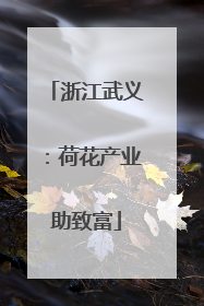 浙江武义：荷花产业助致富