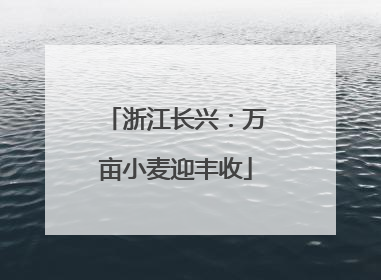 浙江长兴：万亩小麦迎丰收