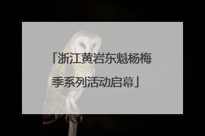 浙江黄岩东魁杨梅季系列活动启幕