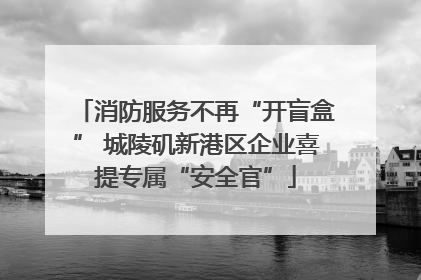 消防服务不再“开盲盒” 城陵矶新港区企业喜提专属“安全官”