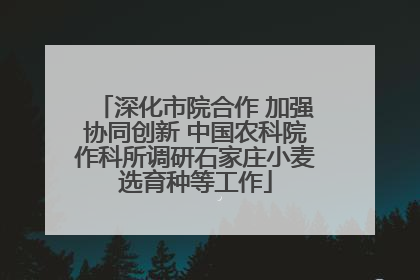 深化市院合作 加强协同创新 中国农科院作科所调研石家庄小麦选育种等工作