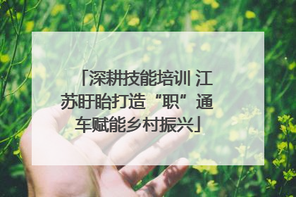 深耕技能培训 江苏盱眙打造“职”通车赋能乡村振兴