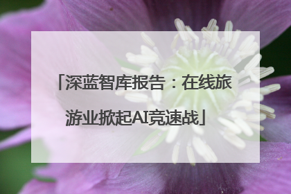 深蓝智库报告：在线旅游业掀起AI竞速战