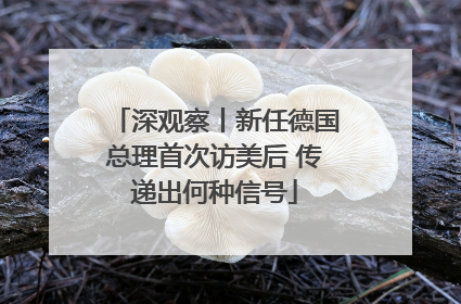深观察丨新任德国总理首次访美后 传递出何种信号