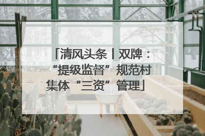 清风头条丨双牌：“提级监督”规范村集体“三资”管理