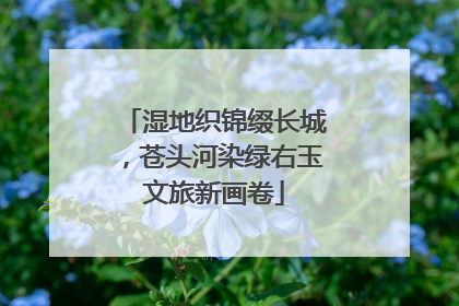 湿地织锦缀长城，苍头河染绿右玉文旅新画卷