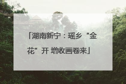 湖南新宁：瑶乡“金花”开 增收画卷来