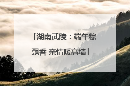 湖南武陵：端午粽飘香 亲情暖高墙