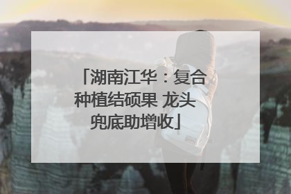湖南江华：复合种植结硕果 龙头兜底助增收