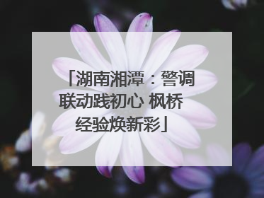 湖南湘潭：警调联动践初心 枫桥经验焕新彩