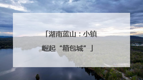 湖南蓝山：小镇崛起“箱包城”