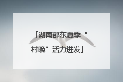 湖南邵东夏季“村晚”活力迸发