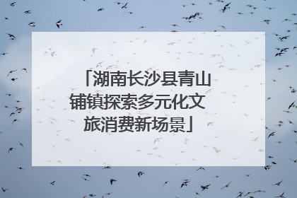 湖南长沙县青山铺镇探索多元化文旅消费新场景