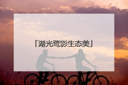 湖光鹭影生态美