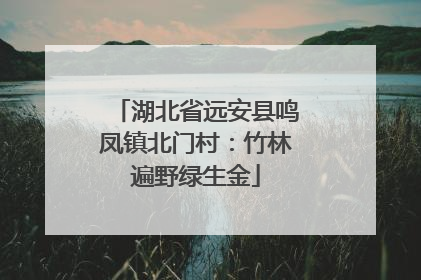 湖北省远安县鸣凤镇北门村：竹林遍野绿生金